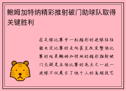 鲍姆加特纳精彩推射破门助球队取得关键胜利